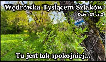 Miniaturka filmu