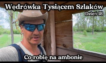 Miniaturka filmu