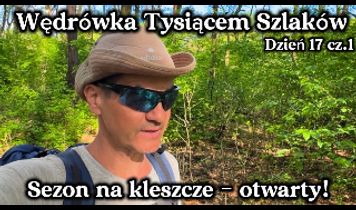 Miniaturka filmu