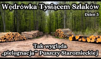 Miniaturka filmu