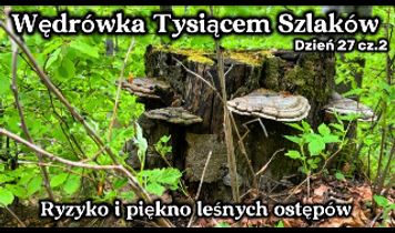 Miniaturka filmu
