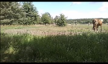 Miniaturka filmu