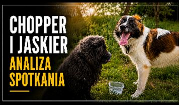 Miniaturka filmu