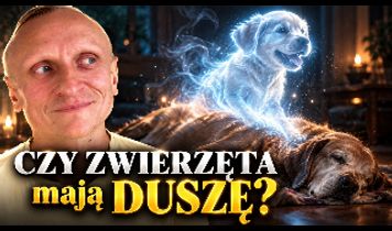 Miniaturka filmu