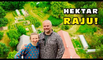 Miniaturka filmu