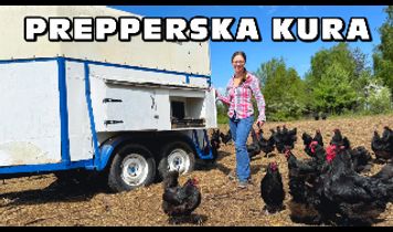 Miniaturka filmu