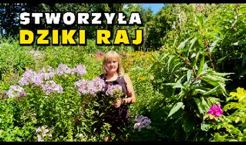 Miniaturka filmu