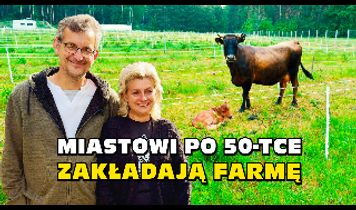 Miniaturka filmu