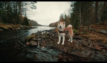 Miniaturka filmu