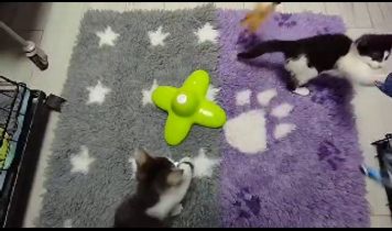 Miniaturka filmu