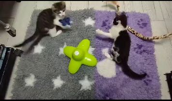 Miniaturka filmu