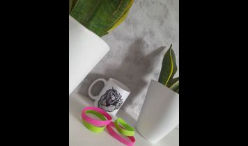 Miniaturka filmu