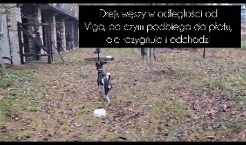 Miniaturka filmu