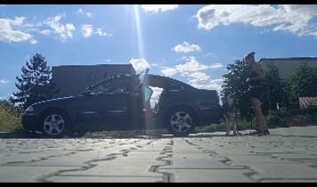 Miniaturka filmu