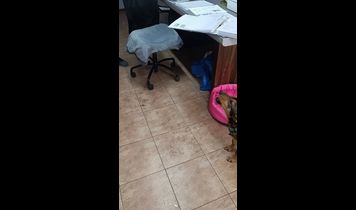 Miniaturka filmu