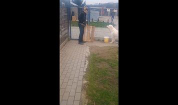 Miniaturka filmu