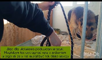 Miniaturka filmu