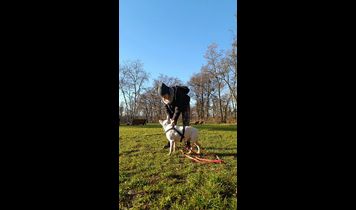 Miniaturka filmu