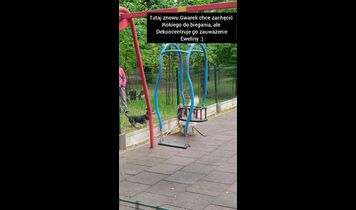 Miniaturka filmu