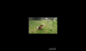 Miniaturka filmu