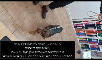 Miniaturka filmu