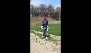 Miniaturka filmu