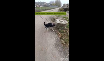 Miniaturka filmu
