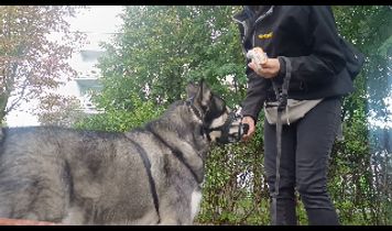Miniaturka filmu