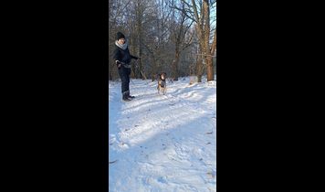 Miniaturka filmu