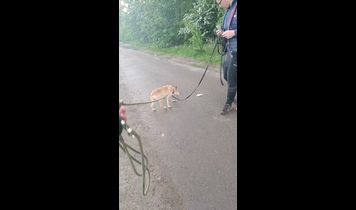 Miniaturka filmu