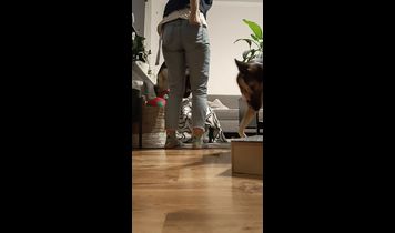 Miniaturka filmu