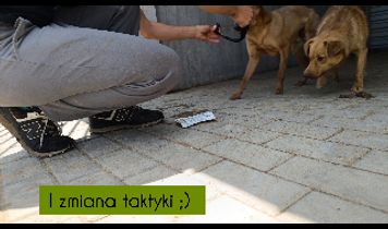 Miniaturka filmu
