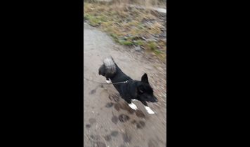 Miniaturka filmu
