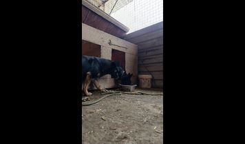 Miniaturka filmu
