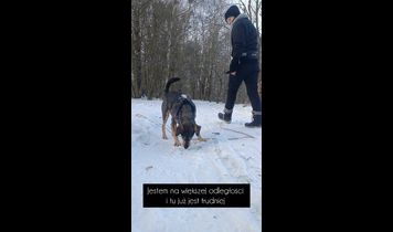 Miniaturka filmu