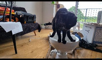 Miniaturka filmu