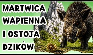 Miniaturka filmu