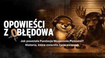 Zdjęcie artykułu