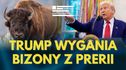 Zdjęcie artykułu