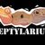 Avatar Reptylarium