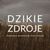 DZIKIE ZDROJE