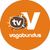 TV Vagabundus