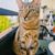 Lidka_33