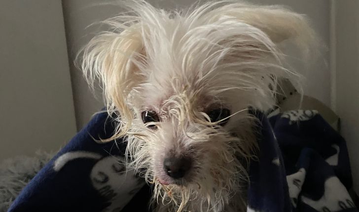 Diagnostyka i leczenie Tivci