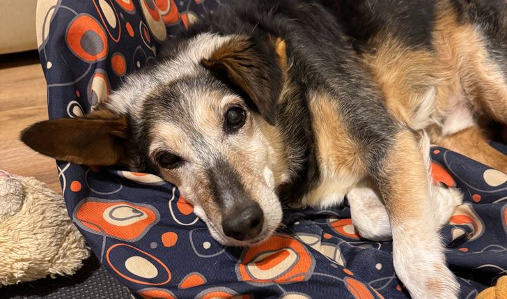 Diagnostyka i zabiegi Playa i Bąbelka