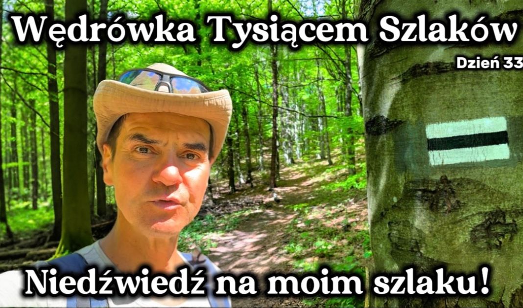 Obrazek posta