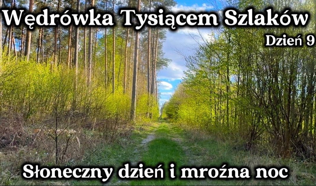 Obrazek posta