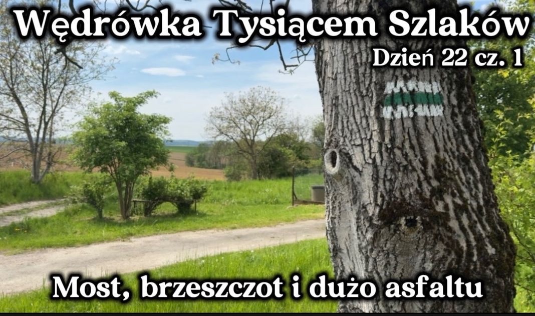 Obrazek posta