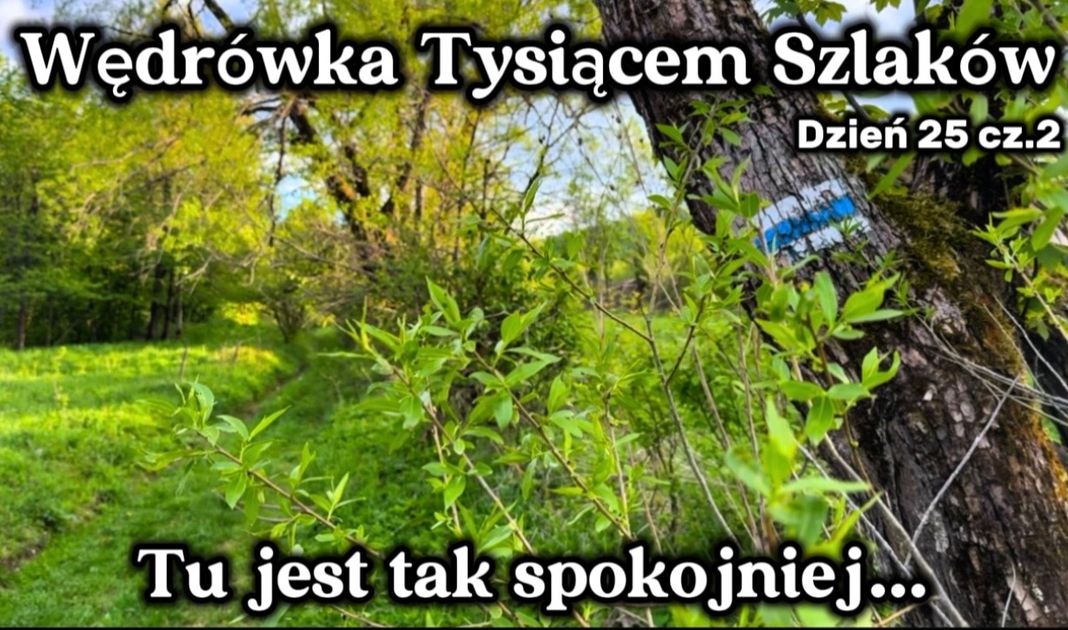 Obrazek posta