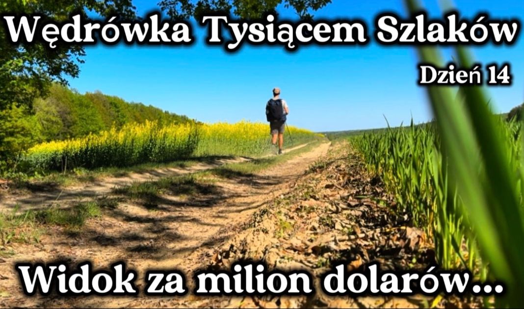 Obrazek posta